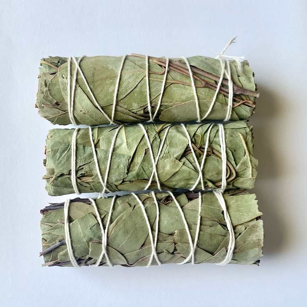 Eucalyptus Smudge Sticks- 3 Pack